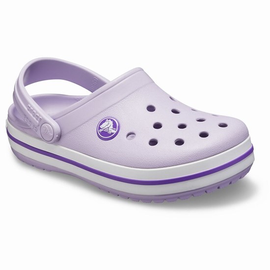 Crocs Crocband™ Boys' Clogs Lavender | DIX-205137